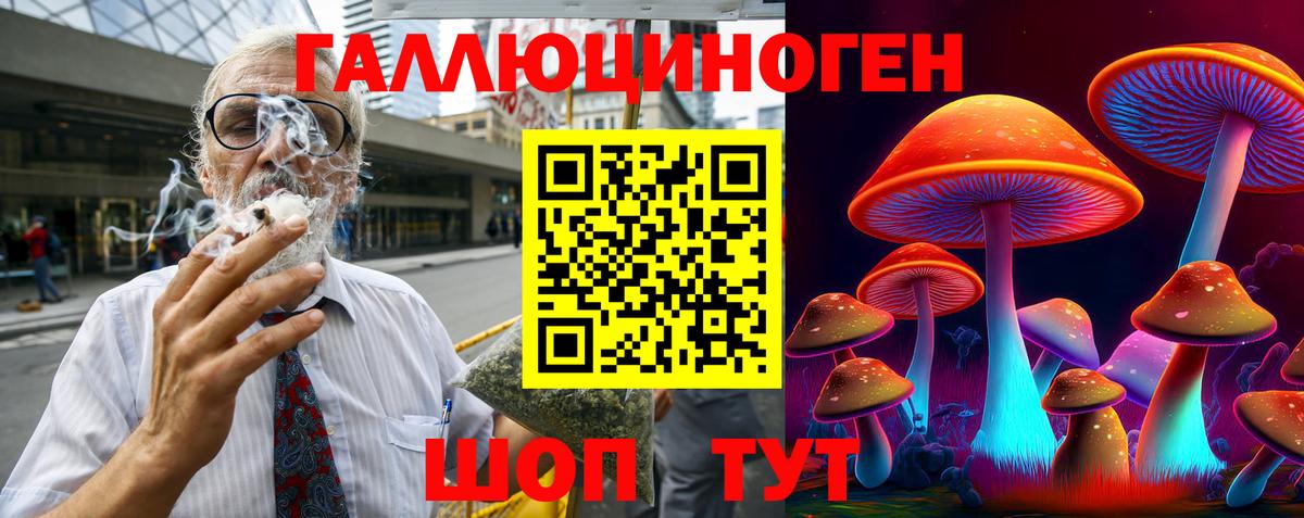 Вышний Волочёк  Псилоцибиновые грибы Psilocybe  Вход с VPN 